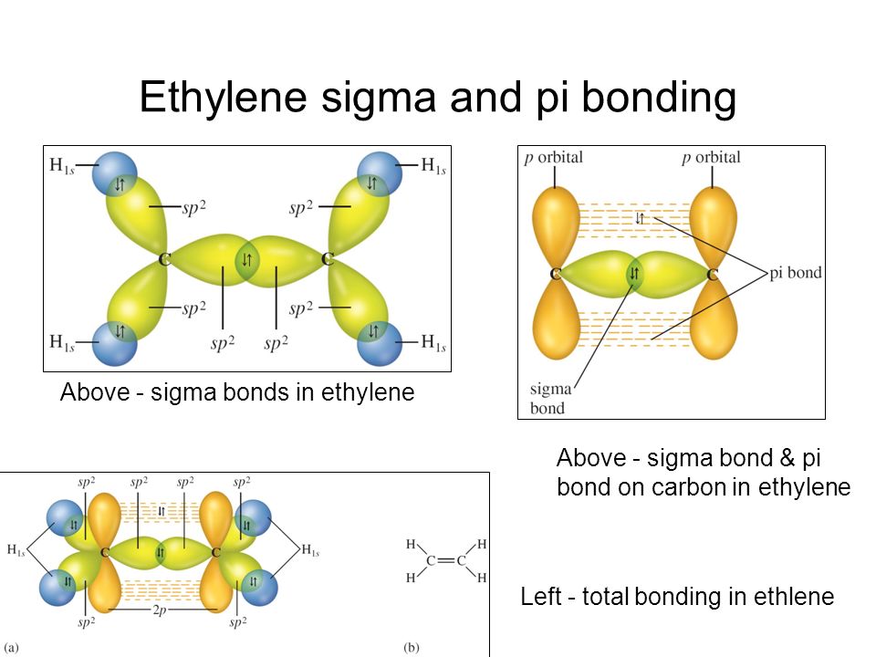 Localized e model and hybrid orbitals sigma and pi